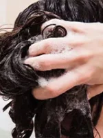 Shampoings Shampoings