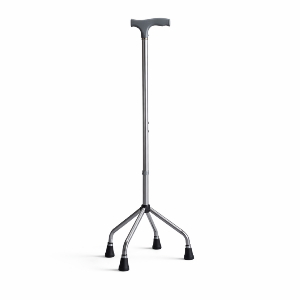 Canne Quadripode — 4 pieds